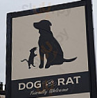 Dog Rat