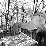 Tierpark Cottbus