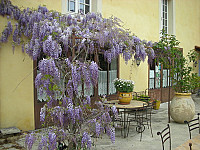 La Table De Marguerite