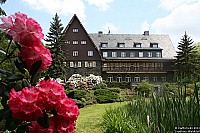 Der Feengarten