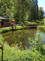 La Peche A La Truite St Pierre D'entremont