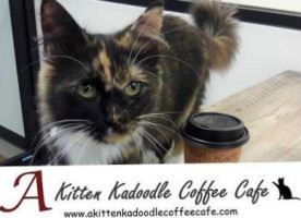 A Kitten Kadoodle Coffee Cafe