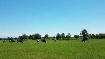 La Ferme l'Hirondelle