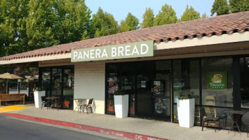 Panera Bread