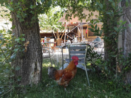 Le Cochon Baigneur