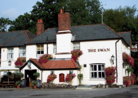 The Swan