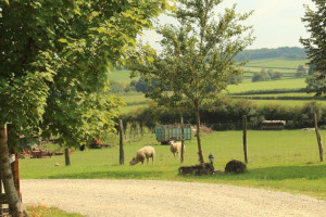 Ferme Auberge de Chamoge