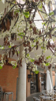 Cafetería Olimpia