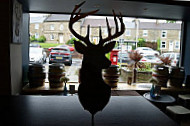 The One Eyed Stag